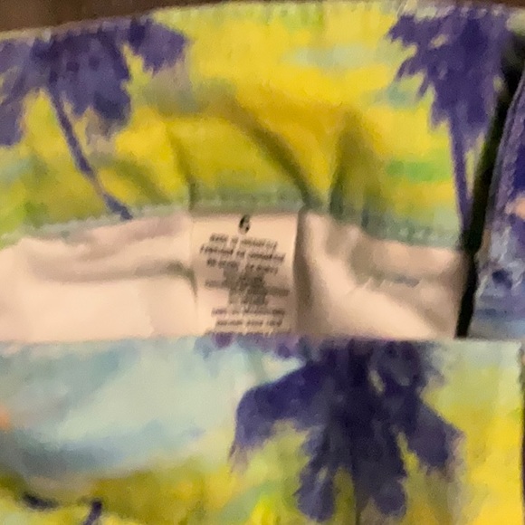 Pastel Palm Tree print American Eagle Outfitters Shorts. - Picture 4 of 4